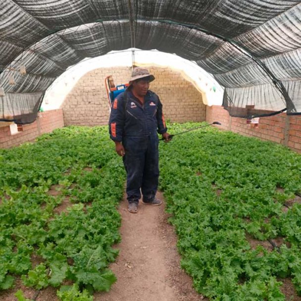 1. El sueño del invernadero hecho realidad para Félix