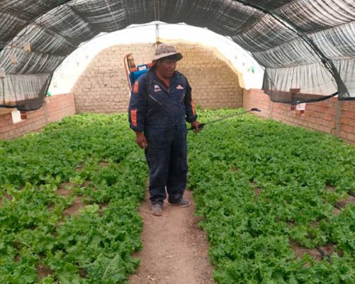 1. El sueño del invernadero hecho realidad para Félix